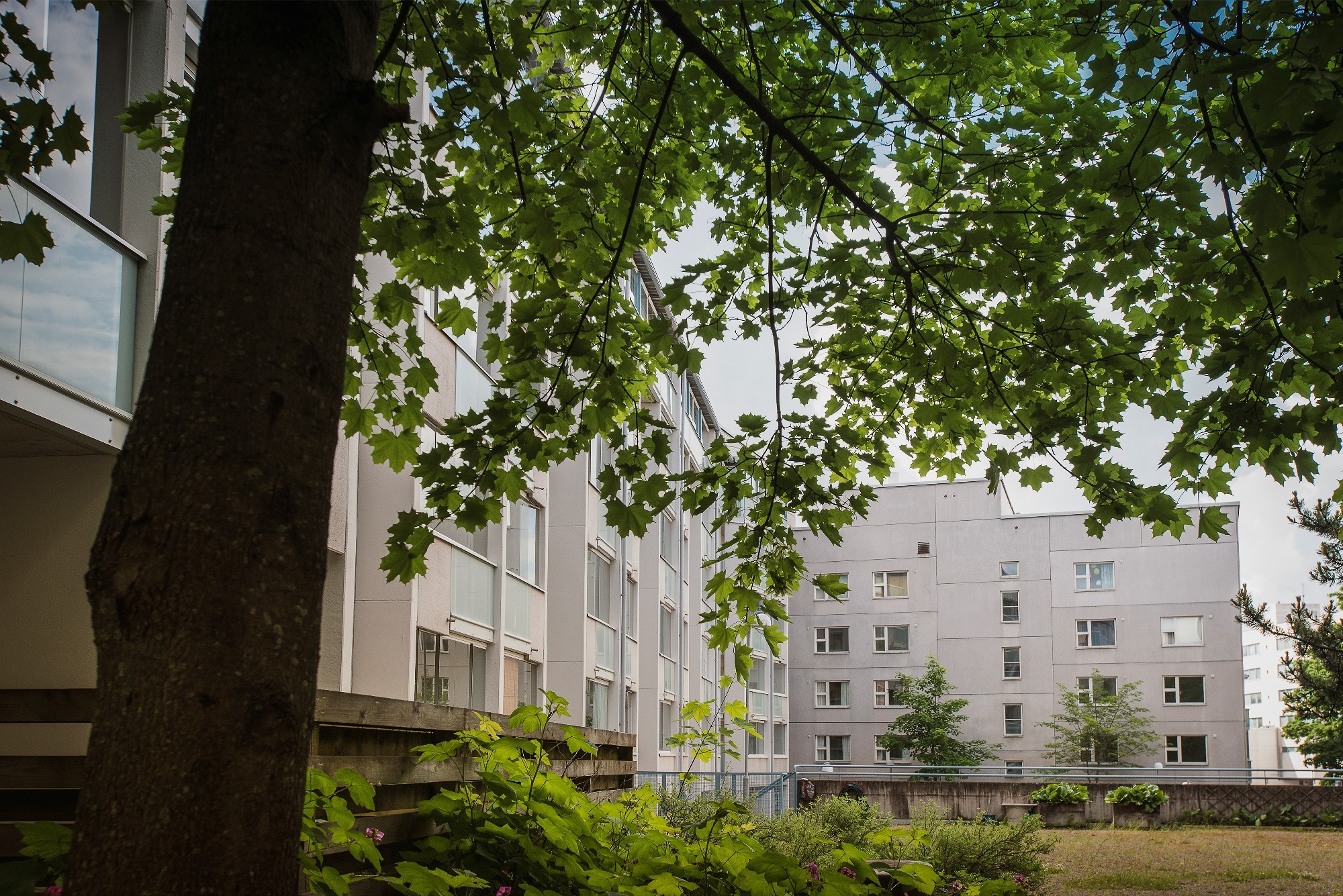 kiinteistön ulkokuva, loviisankatu 14